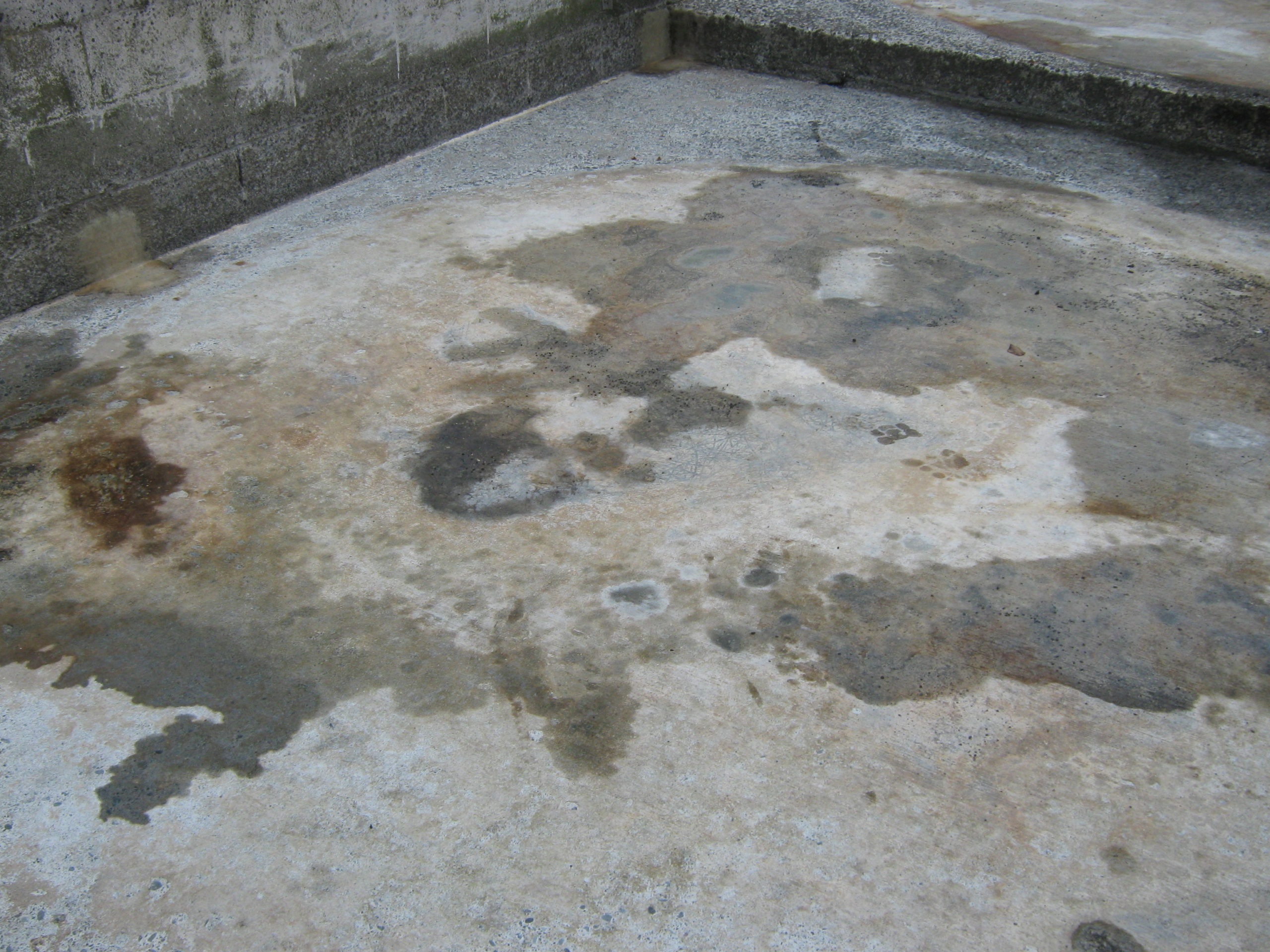 NZSC - Chemical Resistant Flooring Preparation